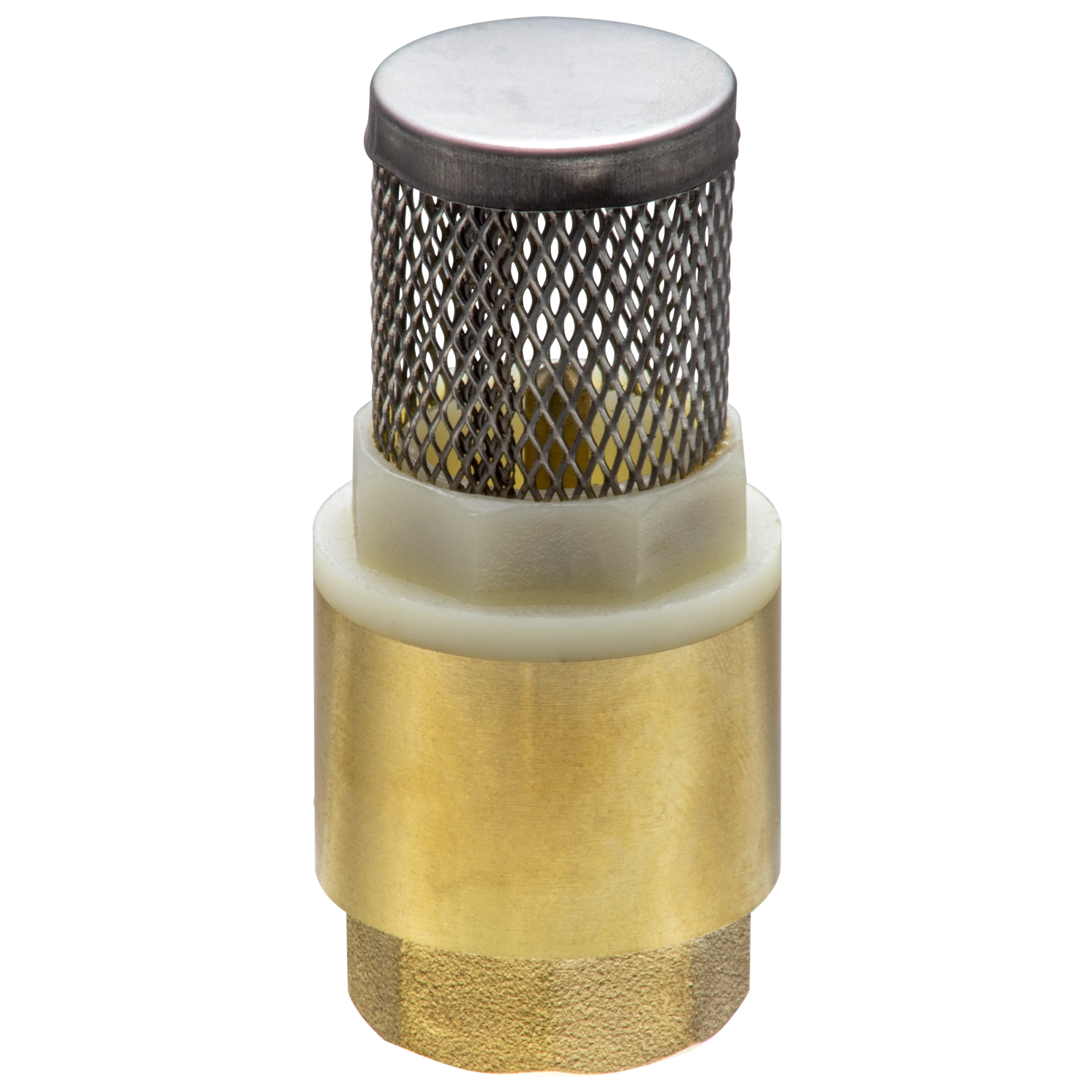 Valvula-de-pie-pichancha